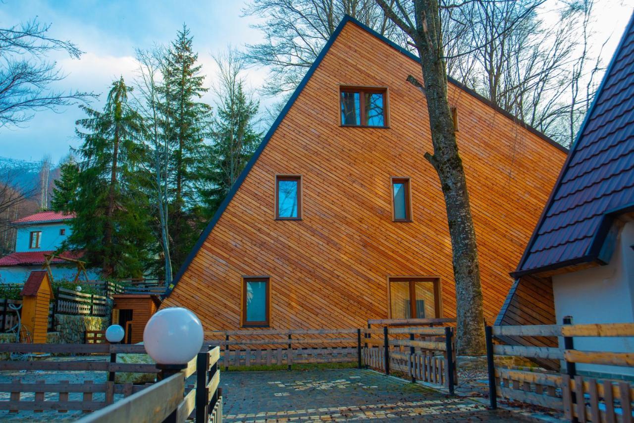 Villa Meshtekna à Brezovice Extérieur photo